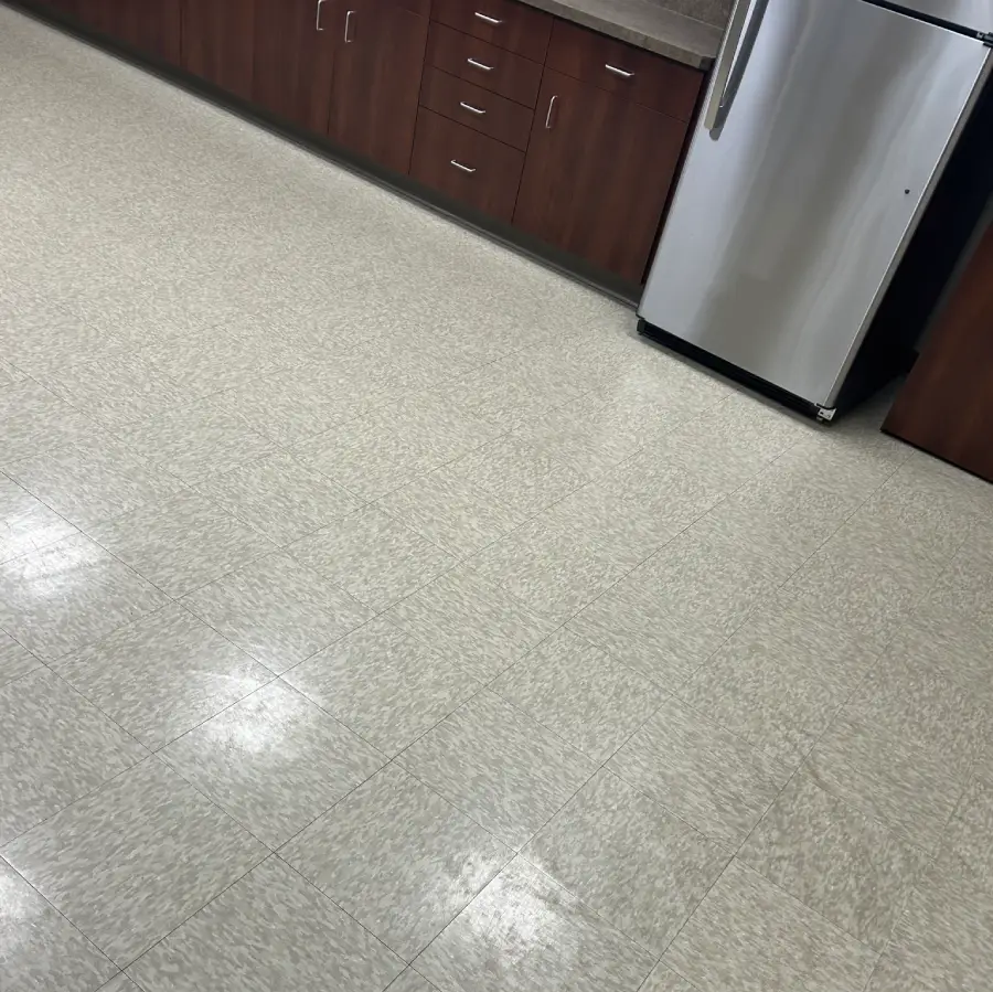 Professional Cleaning Services